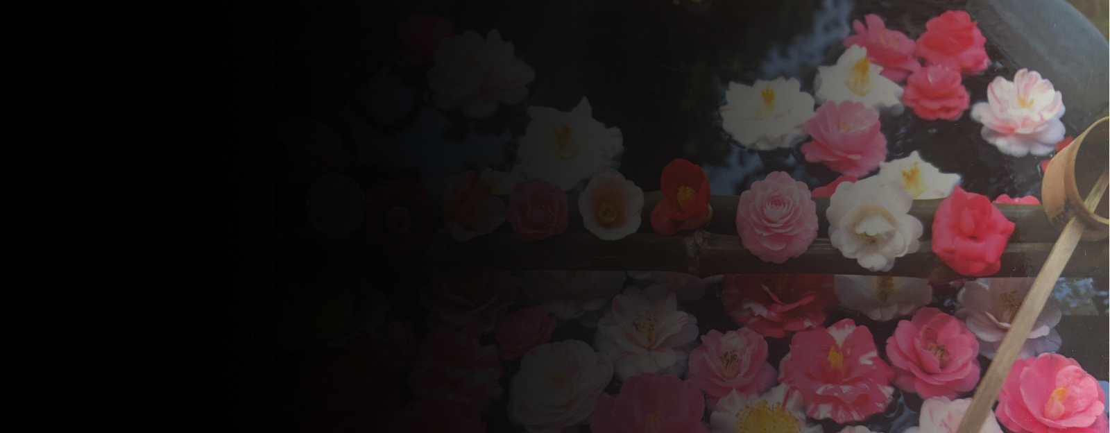 Mijn Banner